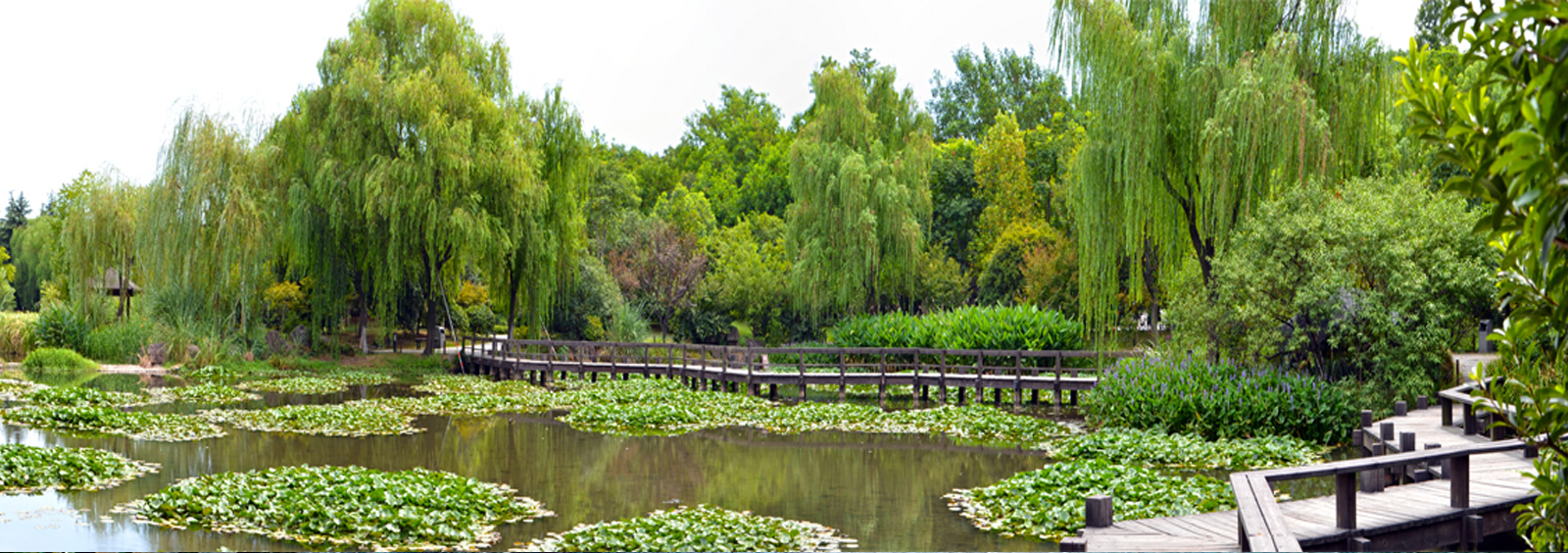 url(http://www.maryuma.com/theme/TP000163/pic/banner4.jpg)